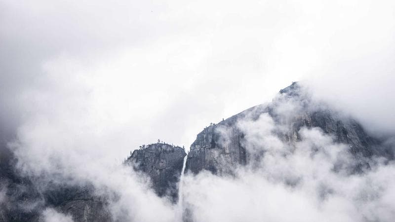 Next Big Meme Coin? 100x Potential